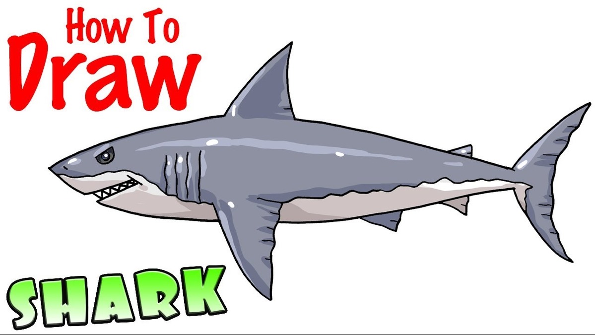 cute:s4nremv56q0= shark drawing