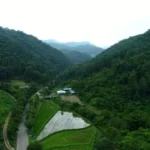 Pellela: The Essence of Texture, Craft, and Modern Identity