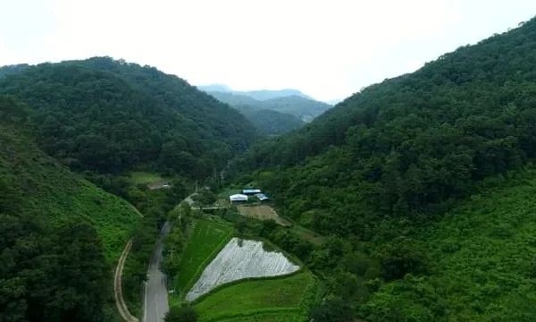 Pellela: The Essence of Texture, Craft, and Modern Identity