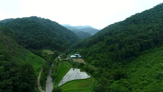 Pellela: The Essence of Texture, Craft, and Modern Identity