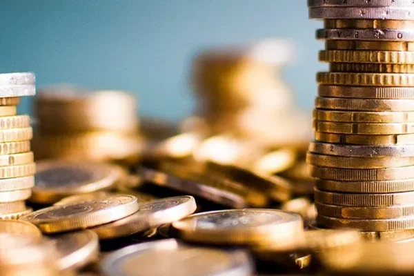 Robthecoins Business: A Complete Guide to Its Vision Services and Growth