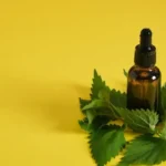 Senaven : A Detailed Exploration of Its Meaning and Growing Popularity