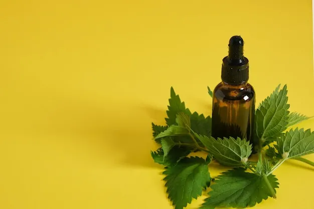 Senaven : A Detailed Exploration of Its Meaning and Growing Popularity