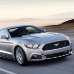 Jipinfeiche: Concept Uses and Growing Relevance