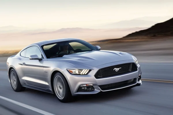 Jipinfeiche: Concept Uses and Growing Relevance