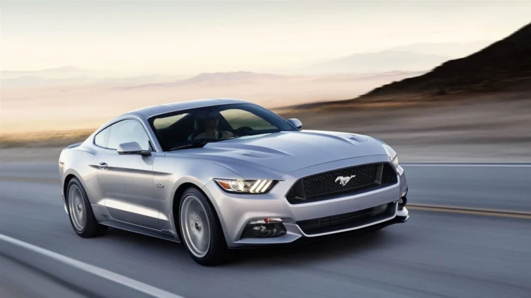 Jipinfeiche: Concept Uses and Growing Relevance